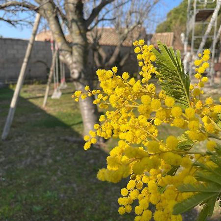 Gite Marydidou Entressen エクステリア 写真